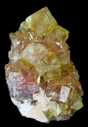 Lustrous, Yellow Cubic Fluorite Crystals - Morocco #32309